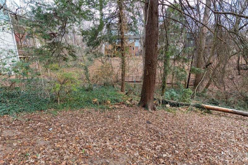 Property image 2 at 195 Tacoma Circle, Asheville, NC 28801