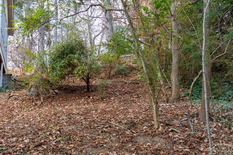 Property image 3 at 195 Tacoma Circle, Asheville, NC 28801