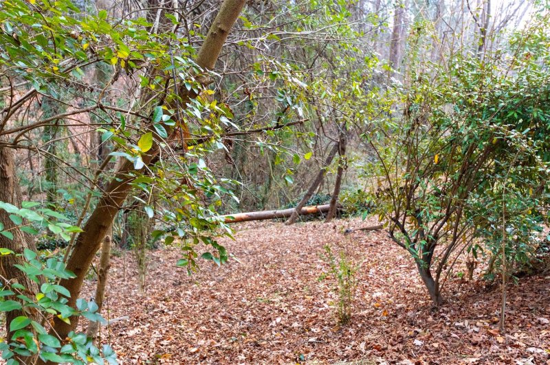 Property image 4 at 195 Tacoma Circle, Asheville, NC 28801