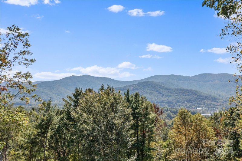 Property image 2 at 210 Pine Hill Drive, Swannanoa, NC 28778
