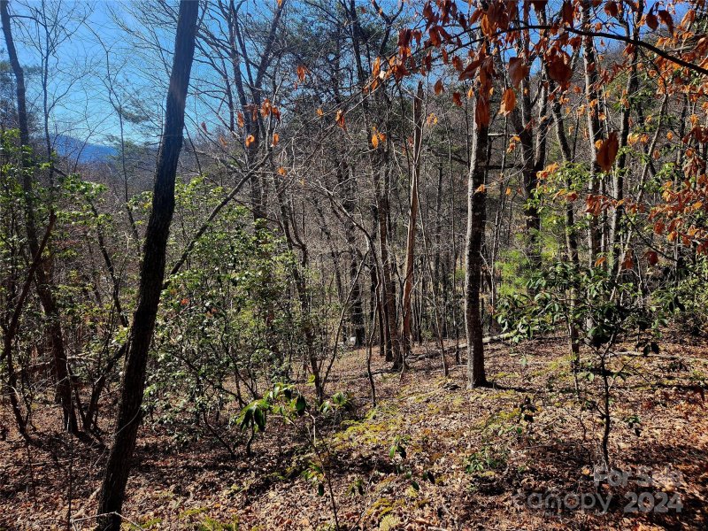 Property image 3 at Lt D16 Cedar Creek Farm Road, Tuckasegee, NC 28783