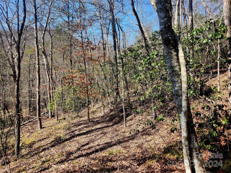 Property image 5 at Lt D16 Cedar Creek Farm Road, Tuckasegee, NC 28783