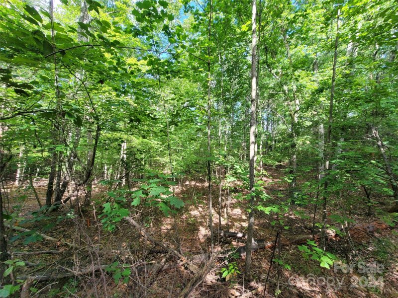 Property image 4 of 000 Mcowenben Pass in Twelve Mile Post, Lake Lure, NC 28746