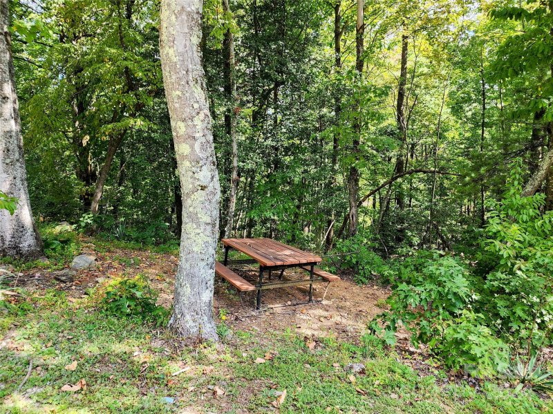 Property image 4 at 3166 Holly Road, Connelly Springs, NC 28612