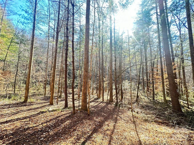 Property image 2 at 645 Tunnel Road, Marion, NC 28752