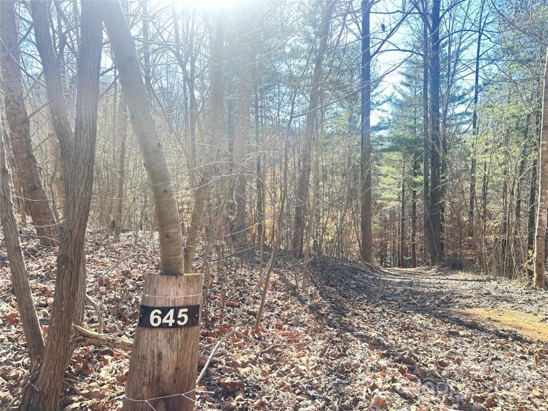 Property image 3 at 645 Tunnel Road, Marion, NC 28752