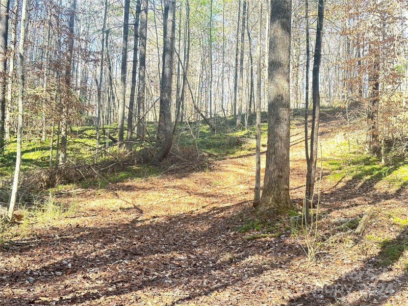 Property image 5 at 645 Tunnel Road, Marion, NC 28752