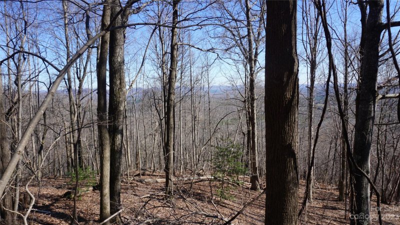 Property image 3 of 41 Pinnacle Parkway in Pinnacle Mountain, Union Mills, NC 28167