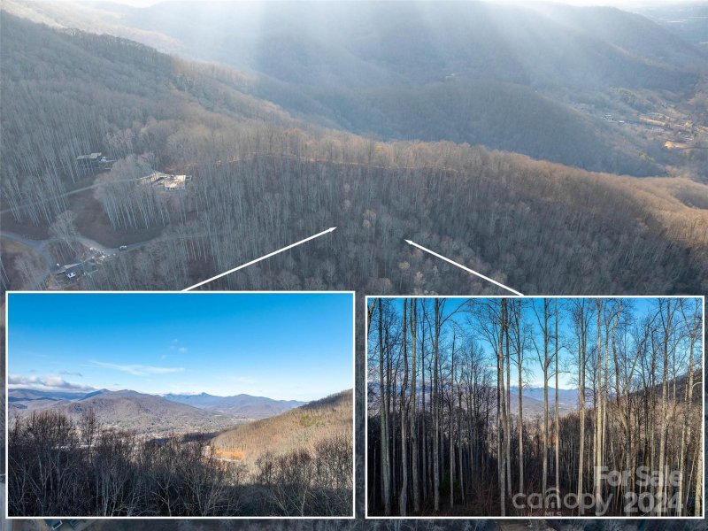 Property image 2 at 1412 Easy Wind Drive, Swannanoa, NC 28778