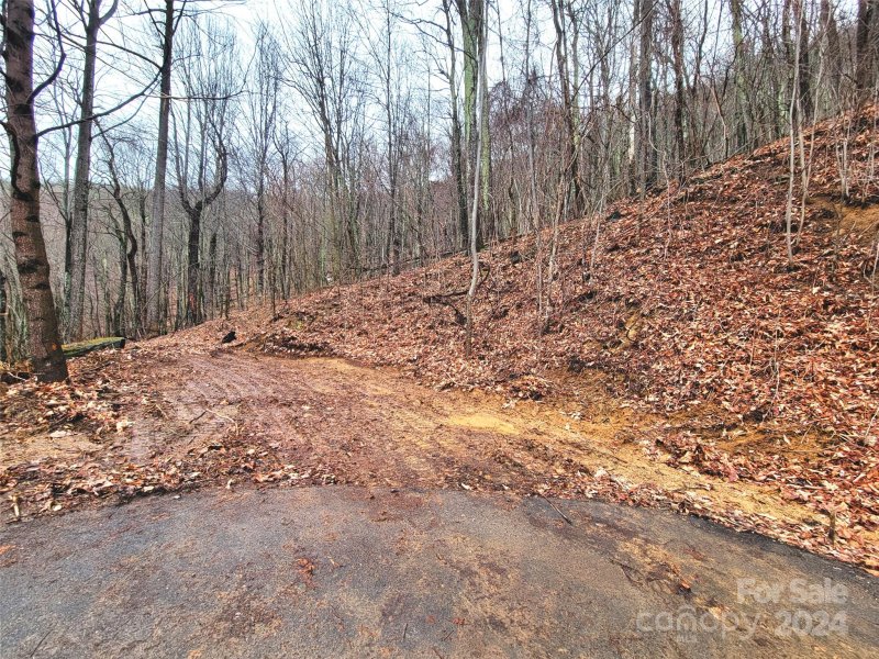 Property image 5 at 32 Marble Stone Drive, Waynesville, NC 28785