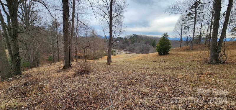 Property image 4 at 48 Sweet Fern Parkway, Asheville, NC 28806