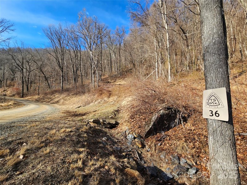 Property image 5 of 999 High Rock View Drive in The Summit of Asheville, Canton, NC 28716