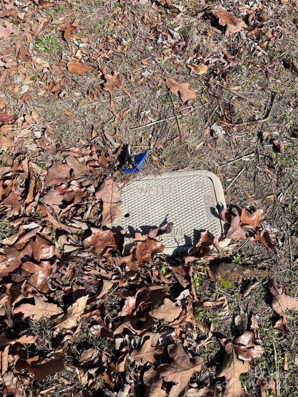 Property image 4 at 2912 Westerwood Drive, Charlotte, NC 28214