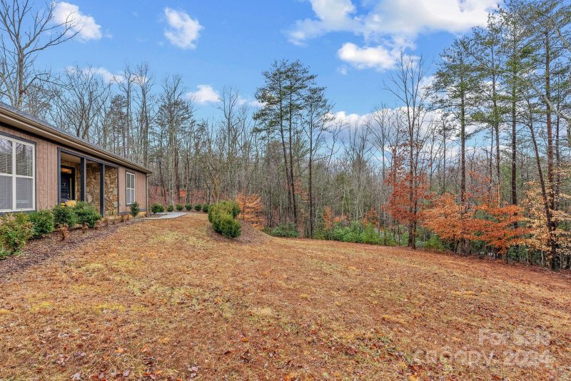 Property image 4 at 121 Dublin Lane, Columbus, NC 28722