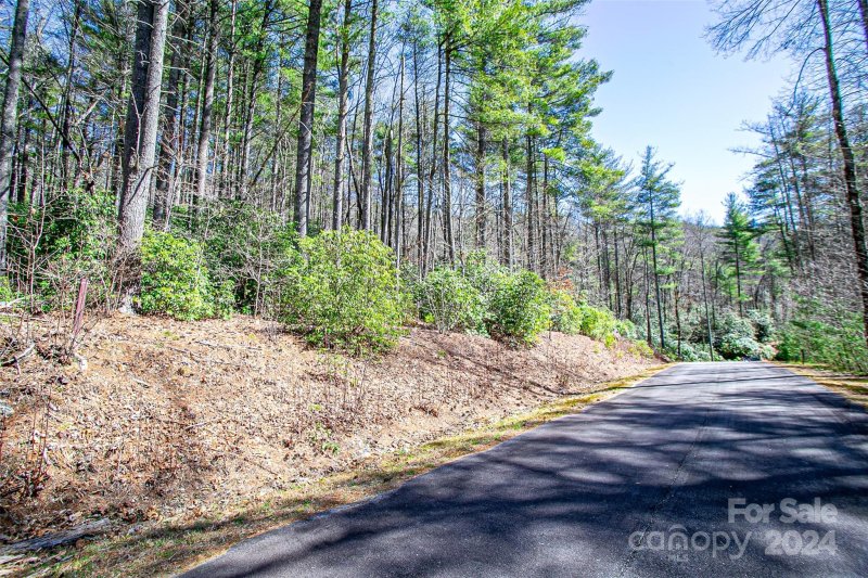 Property image 5 at 0 Huckleberry Ridge Lane, Zirconia, NC 28790