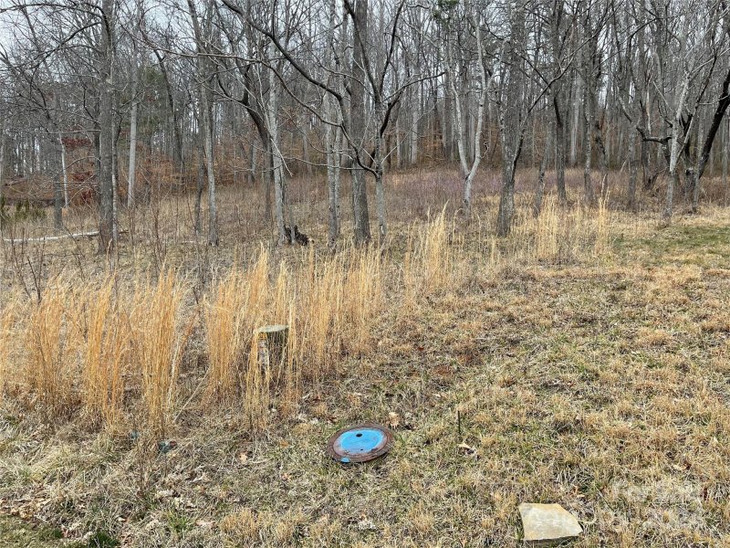 Property image 2 at 11 Twinflower Trail, Asheville, NC 28804