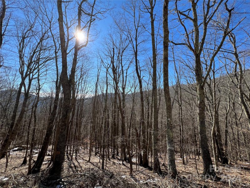 Property image 2 at 00 Tearshirt Lane, Mars Hill, NC 28754