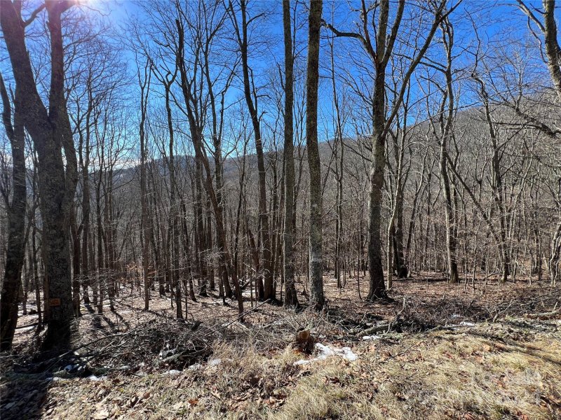 Property image 3 at 00 Tearshirt Lane, Mars Hill, NC 28754