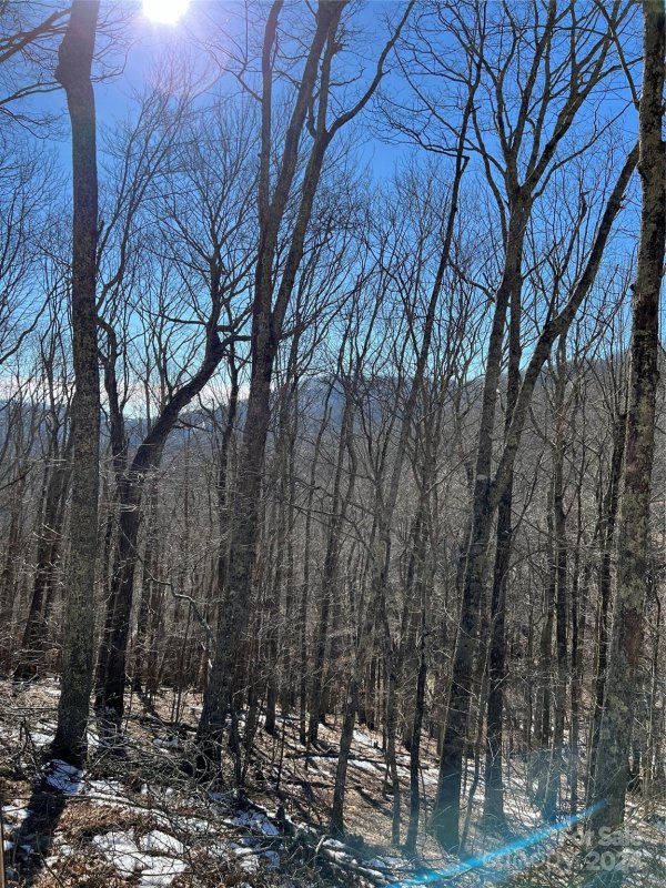 Property image 4 at 00 Tearshirt Lane, Mars Hill, NC 28754