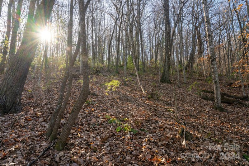 Property image 3 of 0000 Perrion Avenue in The Summit at Hamburg Mtn., Weaverville, NC 28787