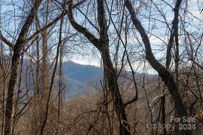 Property image 4 of 0000 Perrion Avenue in The Summit at Hamburg Mtn., Weaverville, NC 28787
