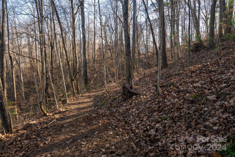 Property image 5 of 0000 Perrion Avenue in The Summit at Hamburg Mtn., Weaverville, NC 28787