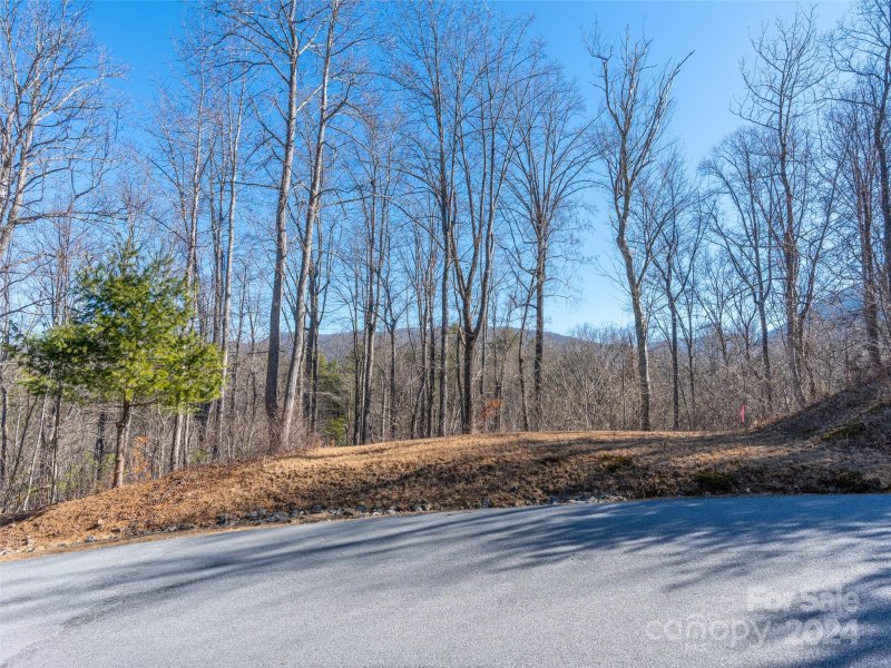 Property image 3 at 74 Sovereign Lane, Fairview, NC 28730