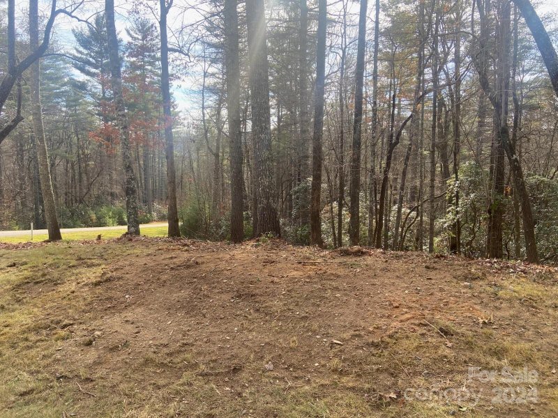 Property image 2 at L56 Stone Field Trail, Brevard, NC 28712