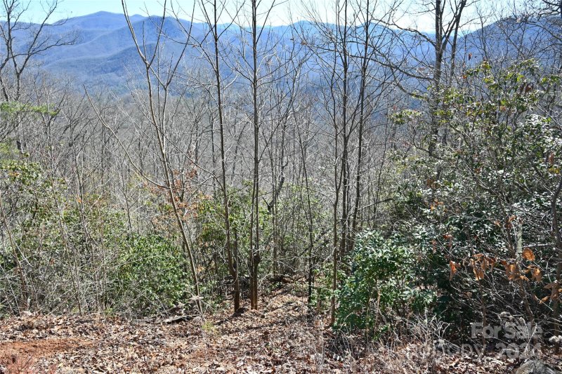 Property image 4 of 00 Longview Ridge in Hemlock Falls, Sylva, NC 28779