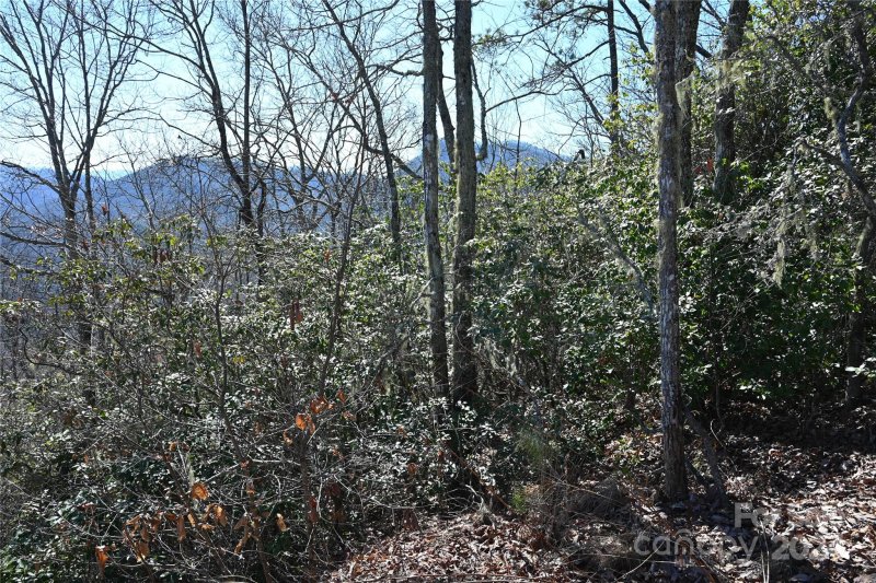 Property image 5 of 00 Longview Ridge in Hemlock Falls, Sylva, NC 28779