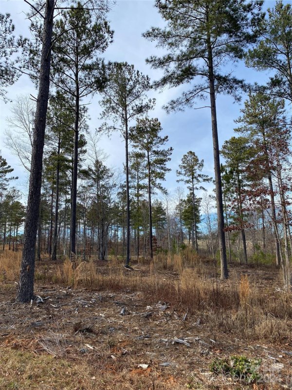 Property image 2 at 2099 Columbia Ridge, Connelly Springs, NC 28612