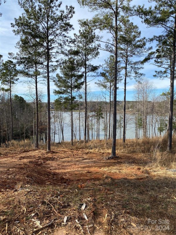 Property image 4 at 2099 Columbia Ridge, Connelly Springs, NC 28612