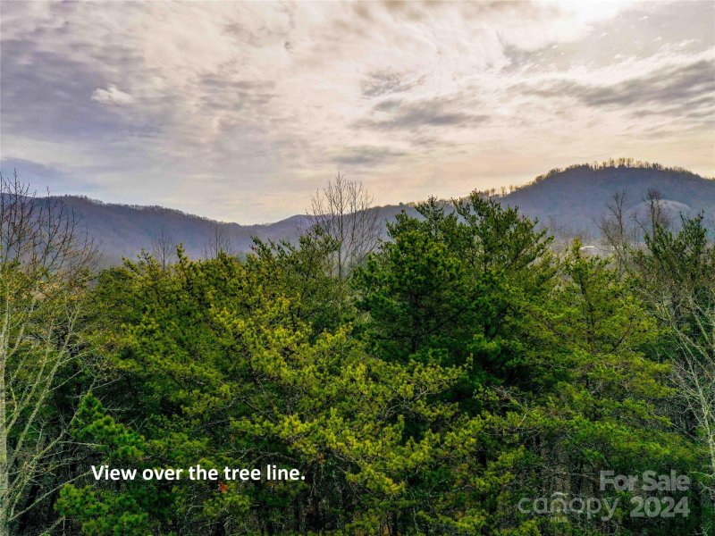 Property image 2 of 53 Sunny Morning Court in Old Orchard, Hendersonville, NC 28792