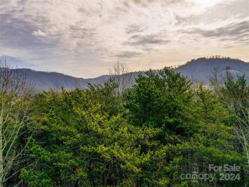 Property image 3 of 53 Sunny Morning Court in Old Orchard, Hendersonville, NC 28792