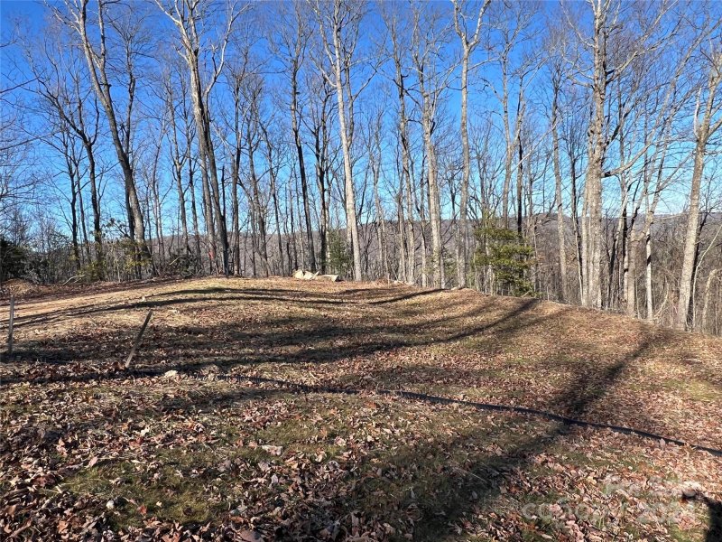 Property image 5 at 242 Black Bear Ridge Trail, Zirconia, NC 28790