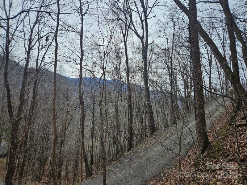 Property image 2 of 000 Jade Drive in Turkey Creek Estates, Clyde, NC 28721