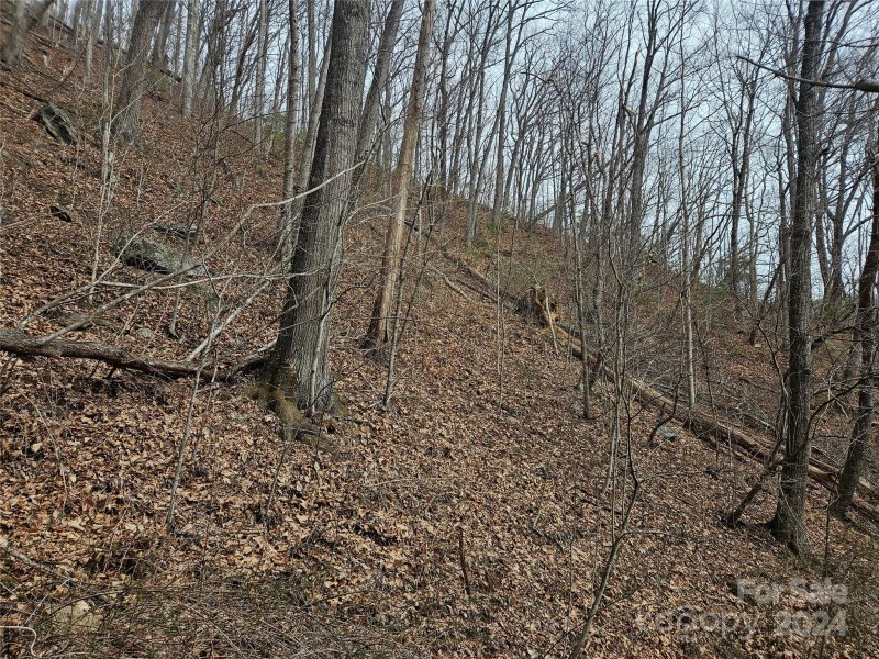 Property image 3 of 000 Jade Drive in Turkey Creek Estates, Clyde, NC 28721