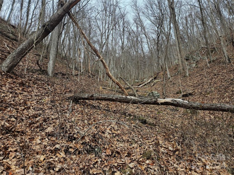 Property image 4 of 000 Jade Drive in Turkey Creek Estates, Clyde, NC 28721