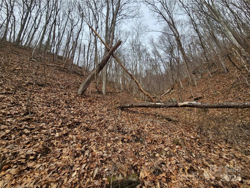 Property image 5 of 000 Jade Drive in Turkey Creek Estates, Clyde, NC 28721