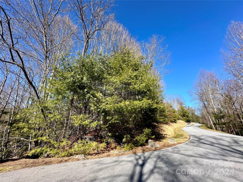 Property image 3 at 204 Tom Fazio Trace, Hendersonville, NC 28739