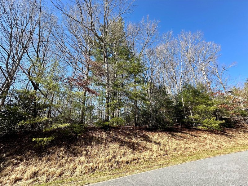 Property image 4 at 204 Tom Fazio Trace, Hendersonville, NC 28739