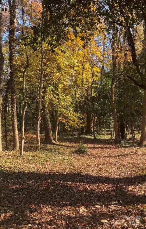 Property image 3 at 6001 Creola Road, Charlotte, NC 28270