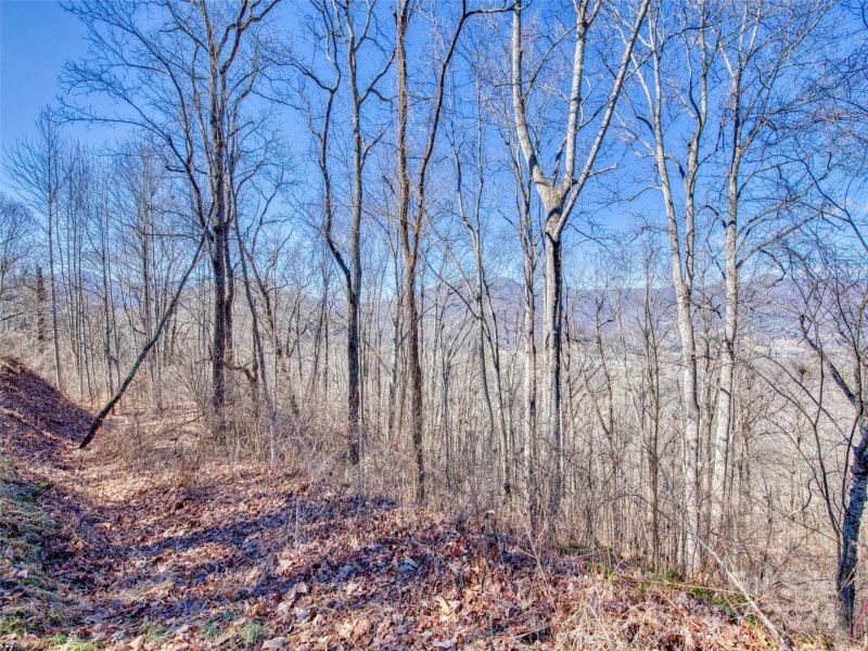 Property image 3 at 114 Trails End Lane, Waynesville, NC 28785