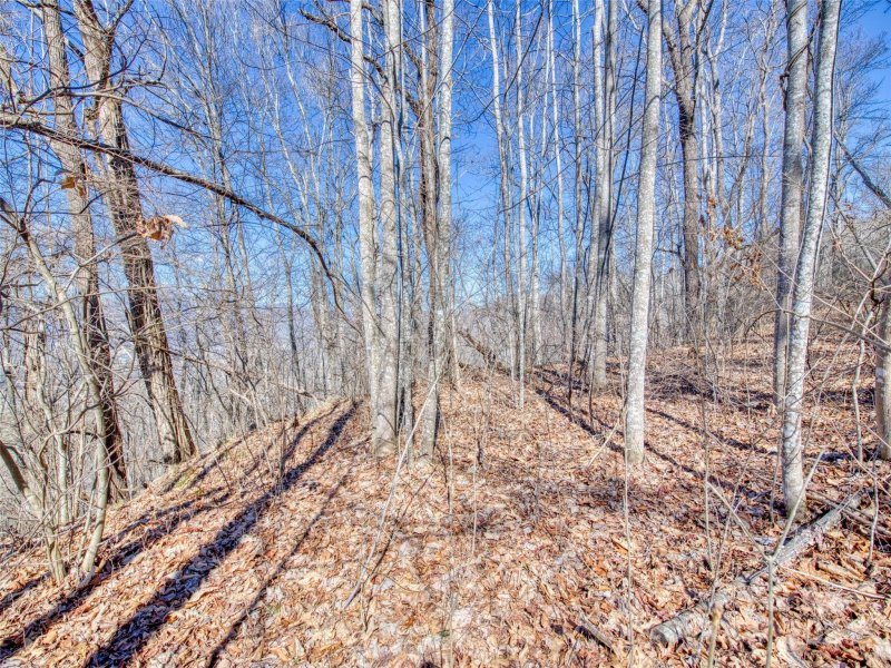 Property image 4 at 114 Trails End Lane, Waynesville, NC 28785