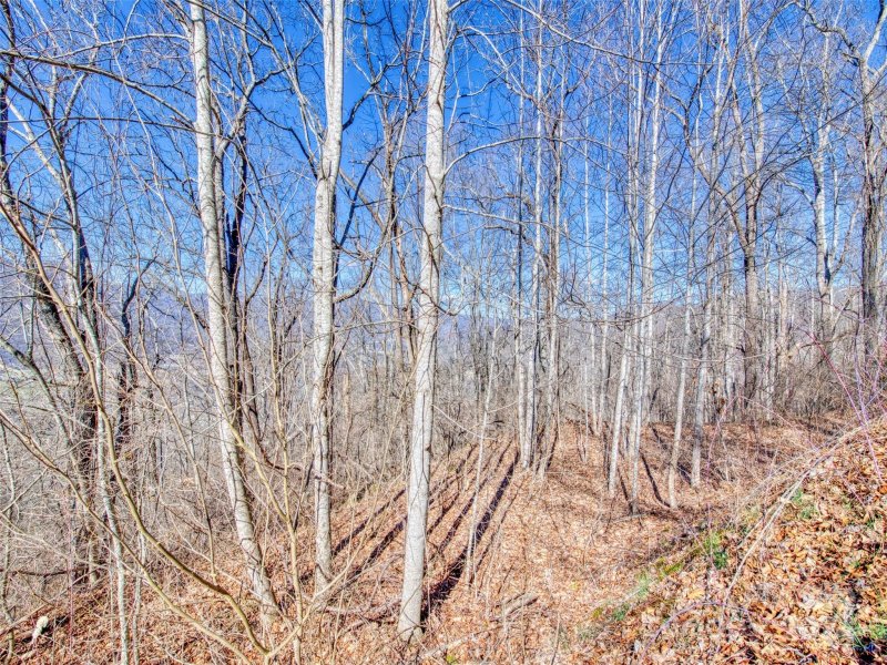 Property image 5 at 114 Trails End Lane, Waynesville, NC 28785