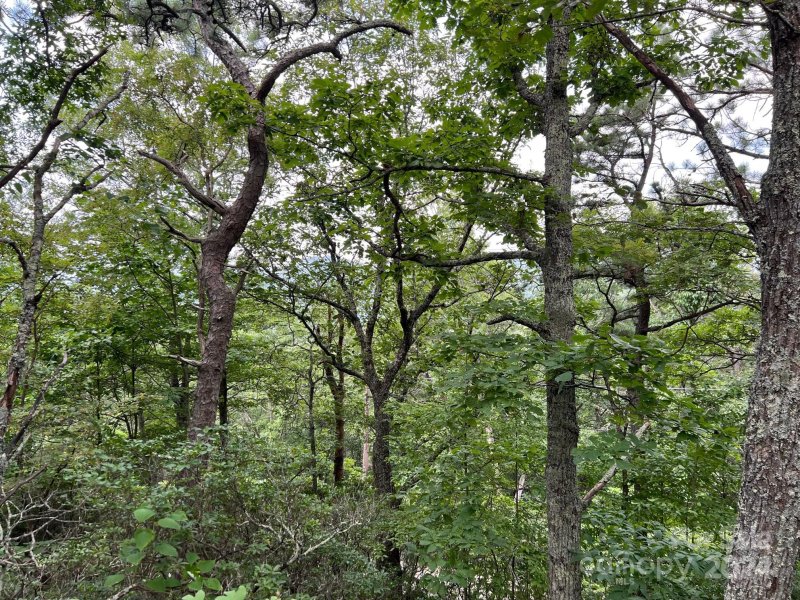 Property image 2 at 0 Pine Ridge Road, Hendersonville, NC 28792