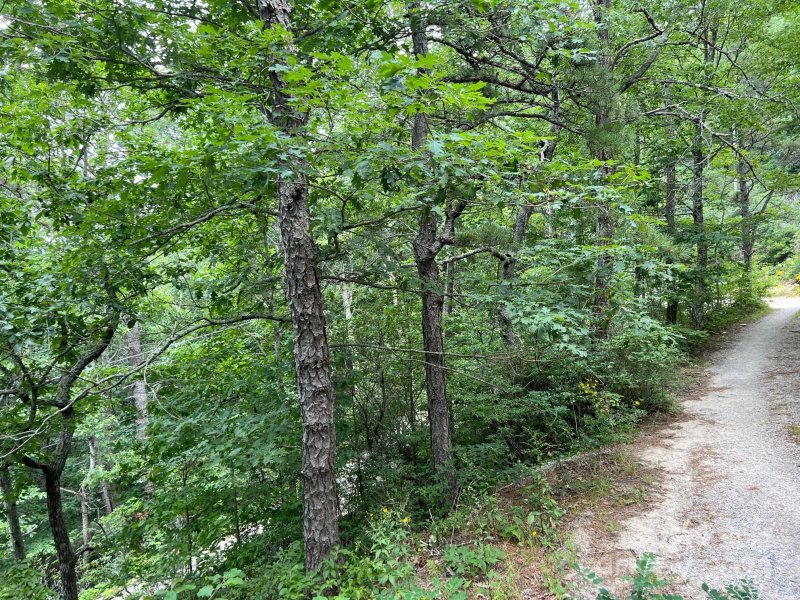 Property image 5 at 0 Pine Ridge Road, Hendersonville, NC 28792