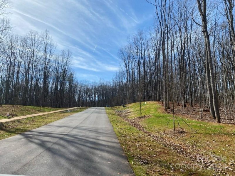 Property image 3 at Lot 6 Brancer Lane, Lincolnton, NC 28092