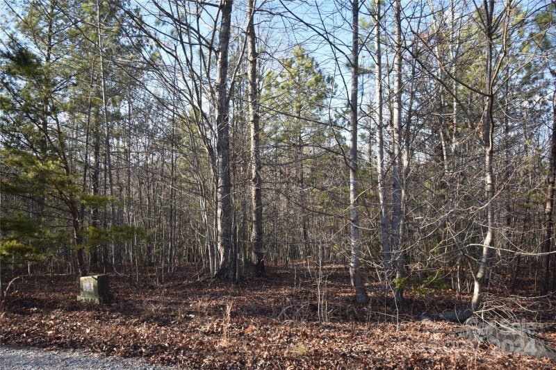 Property image 3 at Lot 74 Tayberry Drive, Nebo, NC 28761