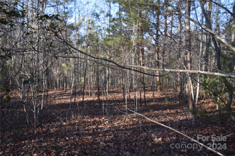 Property image 4 at Lot 74 Tayberry Drive, Nebo, NC 28761